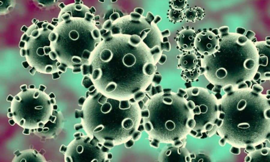 Coronavirus 2019 (COVID-19), état des connaissances