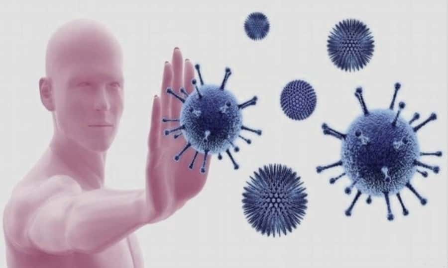 Coronavirus 2019 (COVID-19) : état de connaissance 21 mars 2020