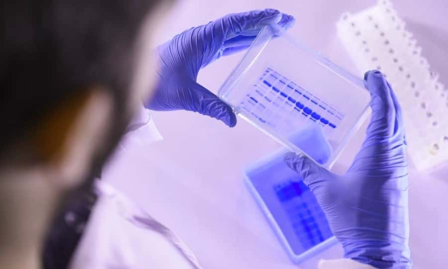 Coronavirus 2019 (COVID-19) : état de connaissance 26 mars 2020