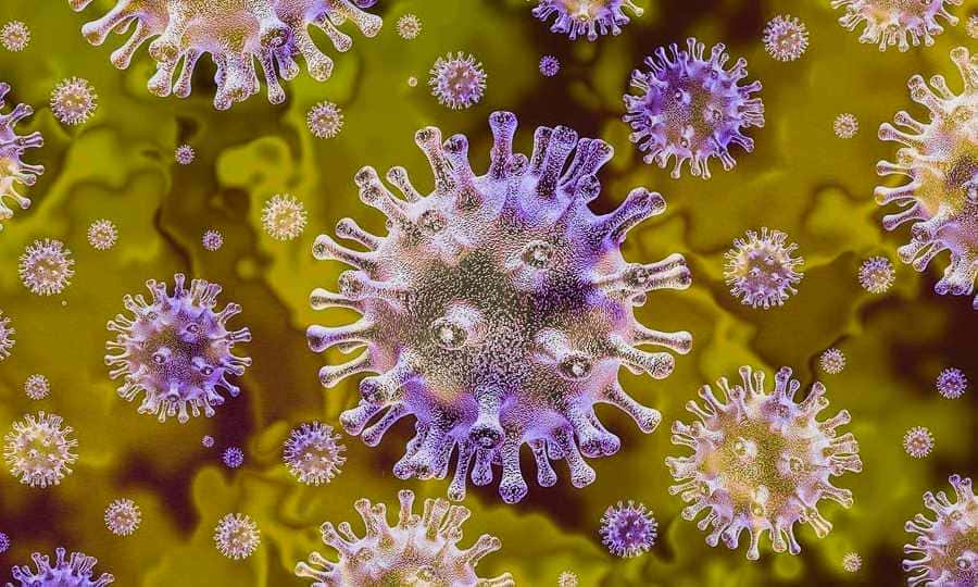 COVID-19 : vaccination et immunité, Questions-réponses